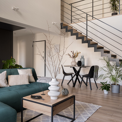 Moderm renovated living room